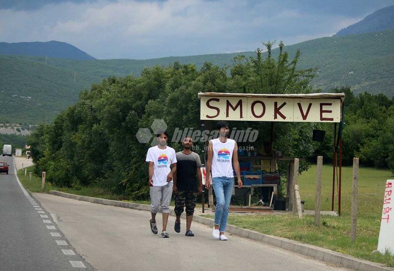 Tijekom vikenda  od ilegalnog ulaska u BiH odvraćeno 155 migranata
