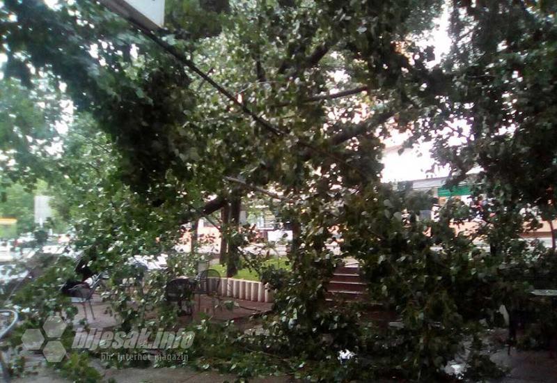 Mostar: Nevrijeme srušilo drvo u baštu kafića