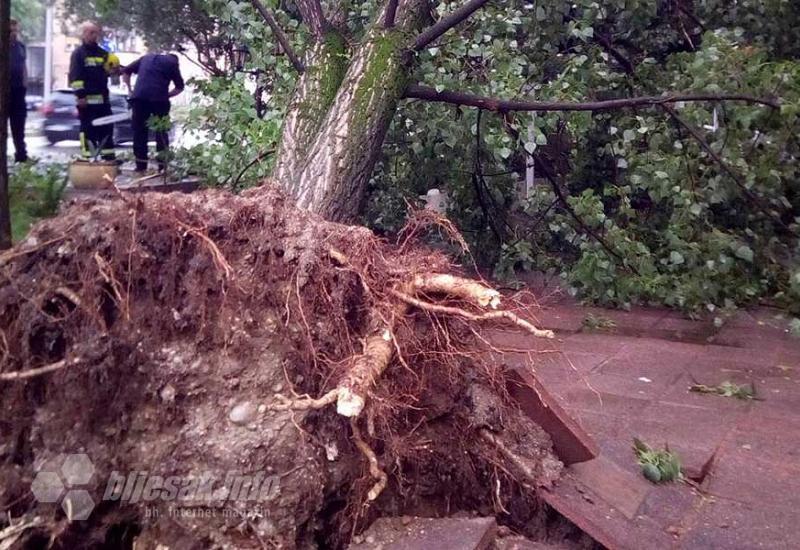 Mostar: Nevrijeme srušilo drvo u baštu kafića