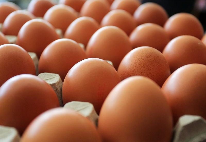 Treba li izbjegavati jesti jaja tijekom ljetnih mjeseci?