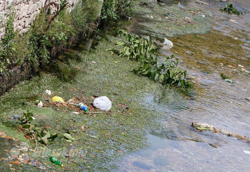 Patke u Radobolji opkolila plastika  - Priroda i društvo u Mostaru: Patke osuđene na život u smeću