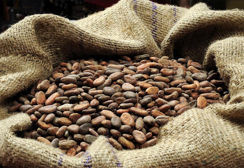 BiH: Zabranili uvoz kakaa u zrnu vrijednosti 100.000 KM