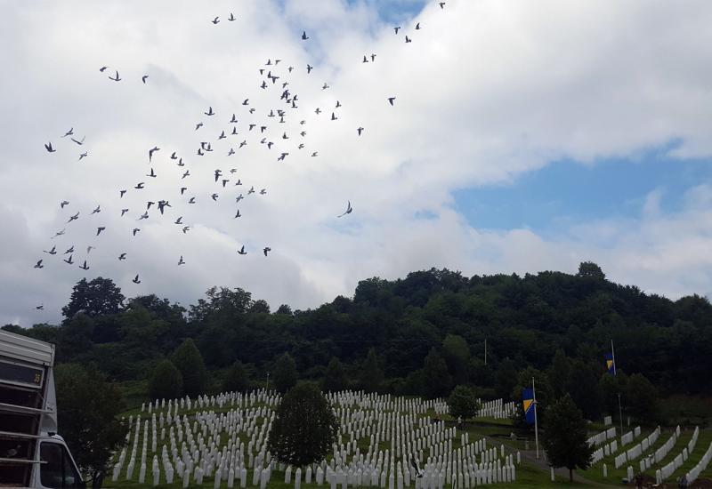 Iz Potočara pušteno 950 golubova pismonoša