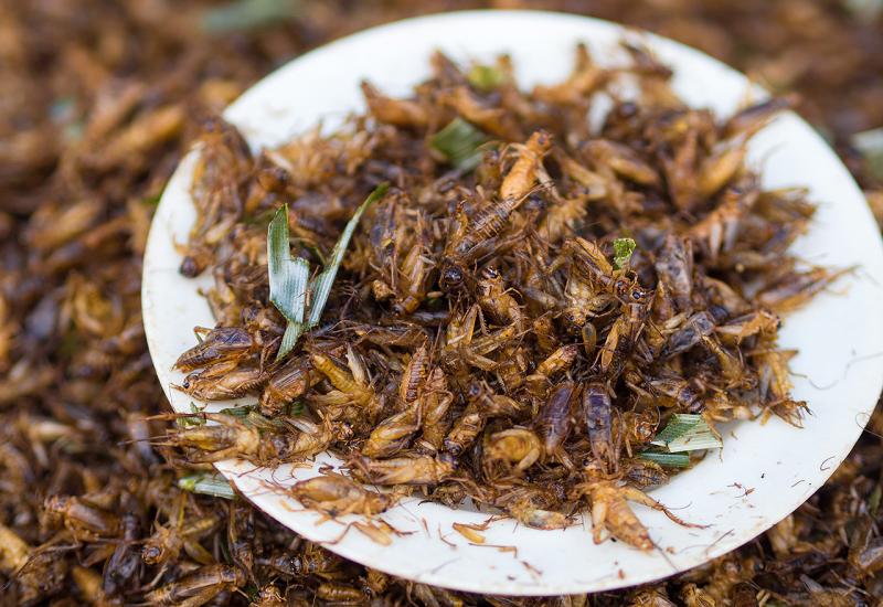 Znanstvenici tvrde: Zdravo je jesti cvrčke
