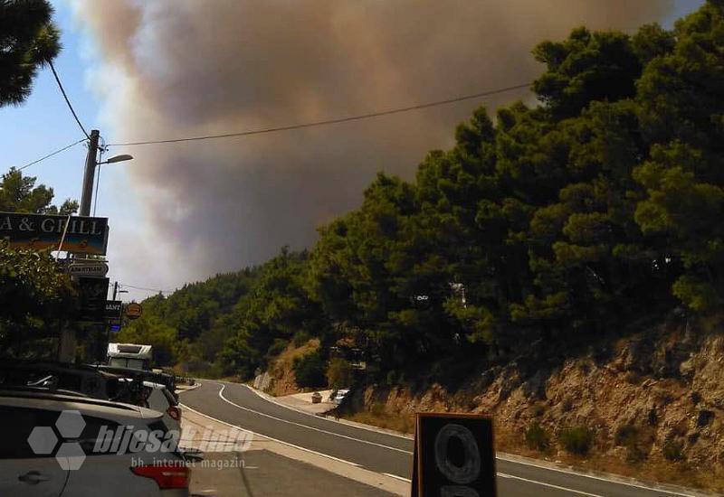 Kod Lokve Rogoznice veliki požar - izgorjelo 50 hektara borove šume