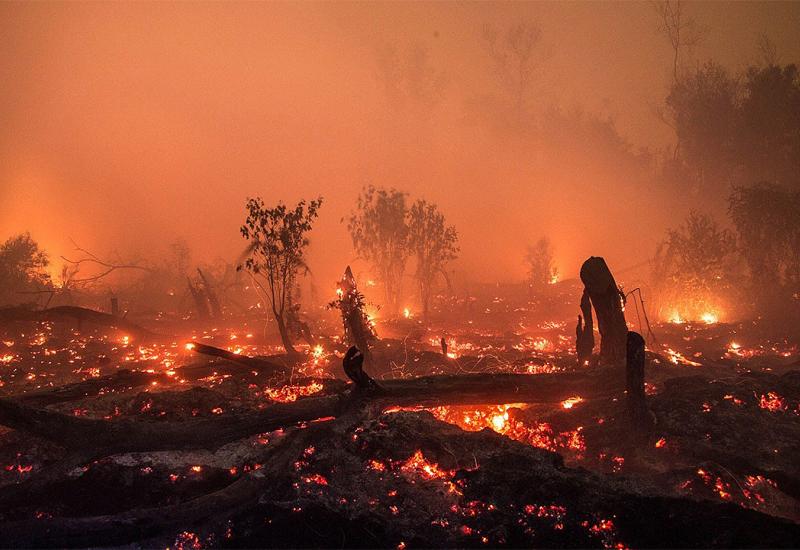 Požar u Čapljini 'progutao' 100 ha šume i niskog raslinja