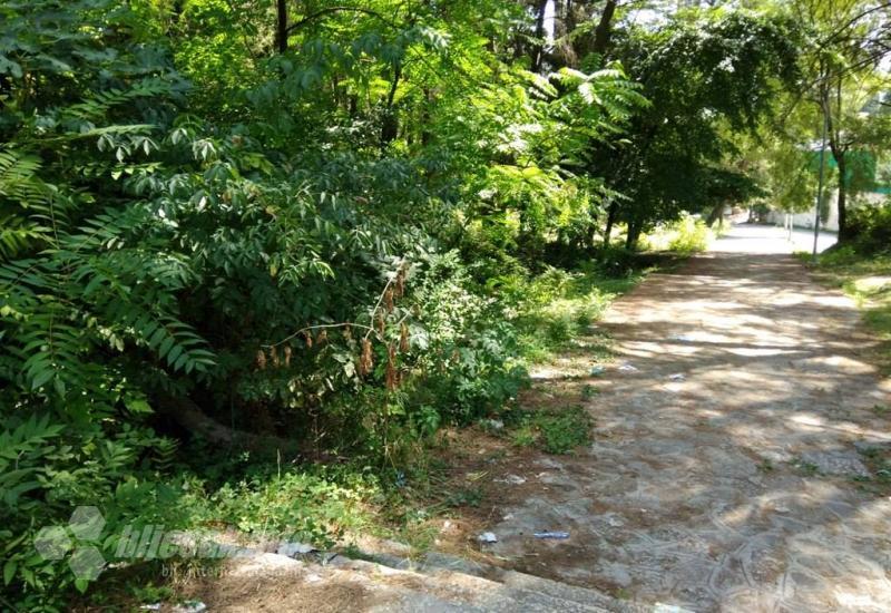 Građani zabrinuti: Džungla u središtu Mostara
