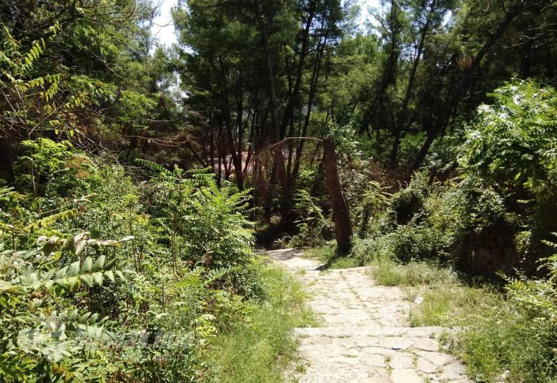 Građani zabrinuti: Džungla u središtu Mostara