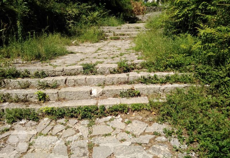 Trava izbija iz kamena - Građani zabrinuti: Džungla u središtu Mostara