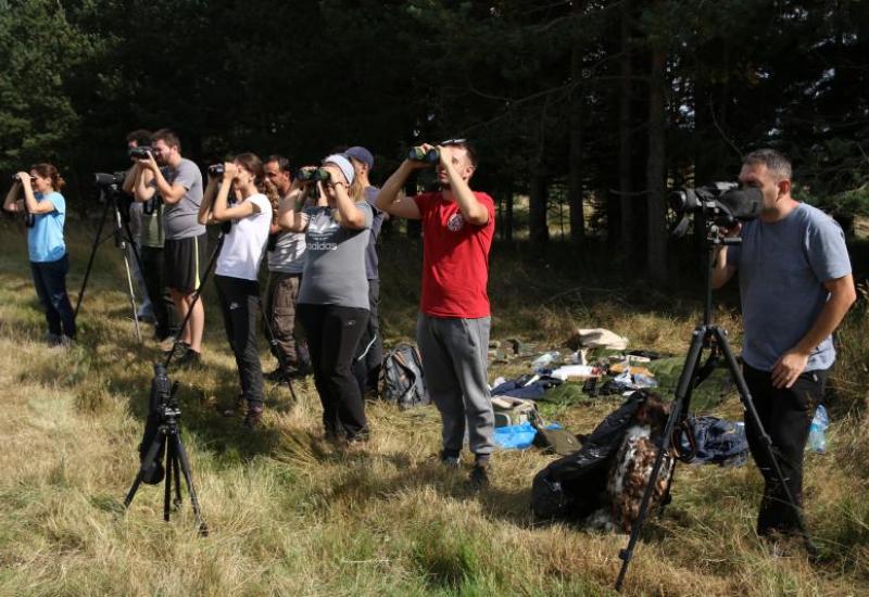 Međunarodni kamp - Kupreško i Ravanjsko polje: Organiziran kamp za monitoring grabljivica