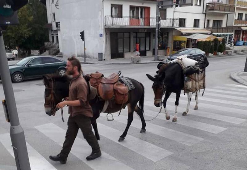 Zanimljivo društvo putuje prema Blidinju - Putuje iz Švicarske sa mulama do Blidinja