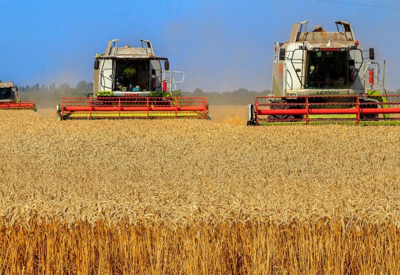 Rastu cijene pšenice 