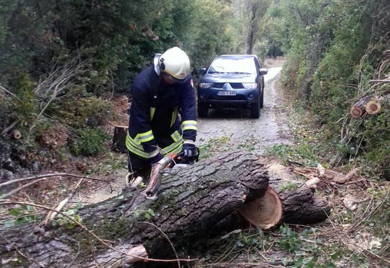 Vatrogasac motornom pilom uklanja stablo koje je oborio vjetar u mjestu Prisoje u Tomislavgradu - Tomislavgrad: Vjetar iščupao stablo i oborio ga na cestu