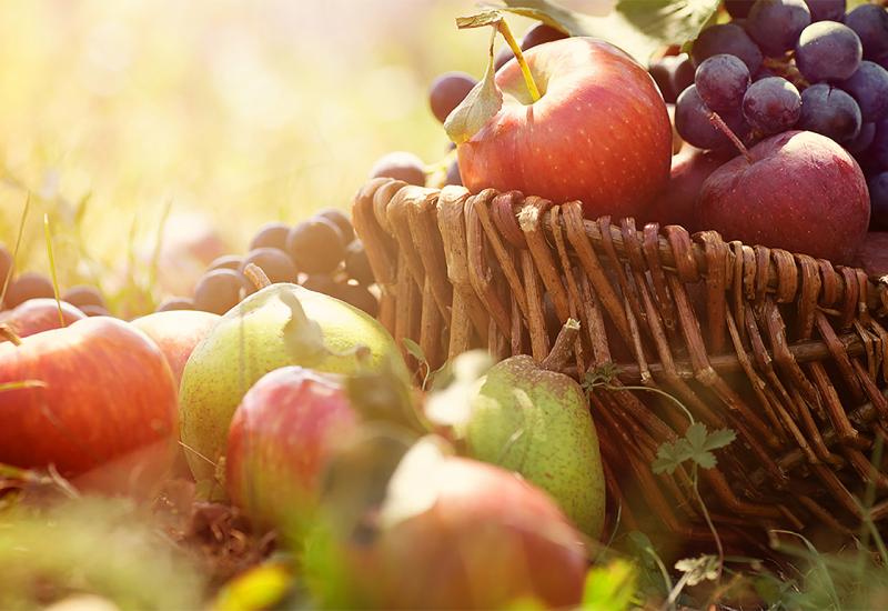 Cijena jabuka u Hercegovini pala na čak 0,5 KM
