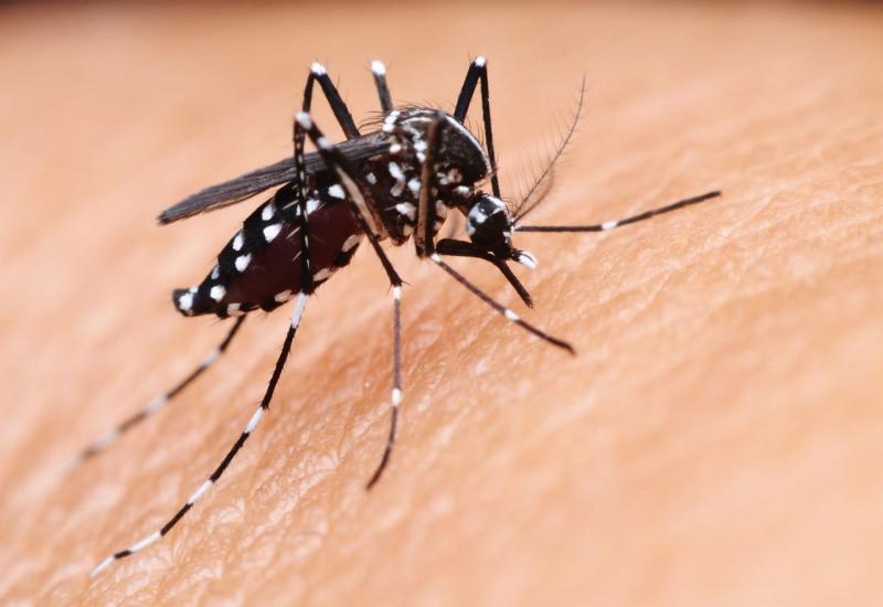 Malarija veća prijetnja Namibiji i subsaharskoj Africi nego COVID-19