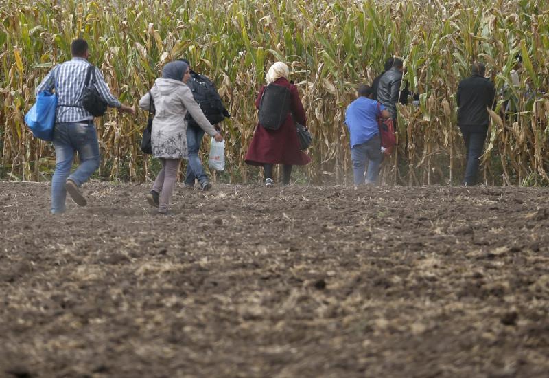 Otkriveni u kukuruzištu: Spriječeno krijumčarenje 28 migranata 