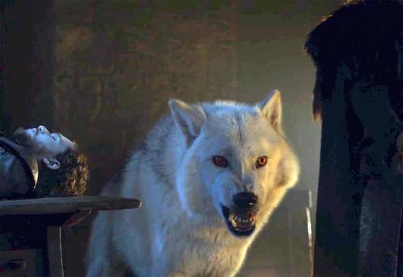 Vraća se Ghost - vjerni pratitelj Jon Snowa