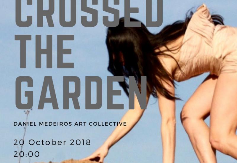 Plakat performansa - When I Crossed The Garden, nastup vizualne konceptualne umjetnosti