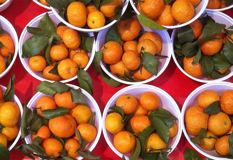 Više od 10 tona turskih mandarina ne može u RS