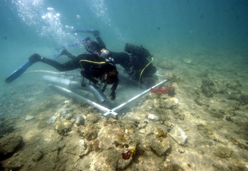 Zadarski arheolozi u moru pronašli koštice maslina stare 3500 godina