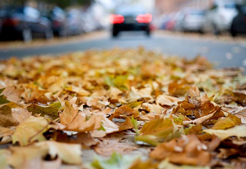 Jesen donosi skrivenu opasnost na koju vozači često zaboravljaju