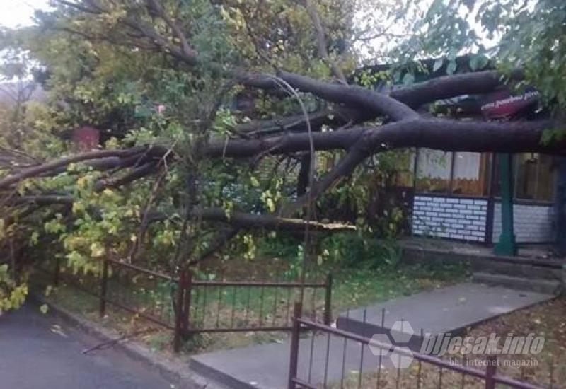 Olujno nevrijeme srušilo je stablo u Salakovcu - HNŽ: Nevrijeme rušilo stabla, stanovništvo ostalo bez struje   