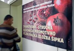 Šipak u Hercegovini: Perspektivna grana u koju vrijedi ulagati