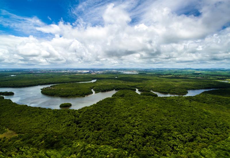 Poziv svijetu da se snažnije angažira na zaštiti Amazonije