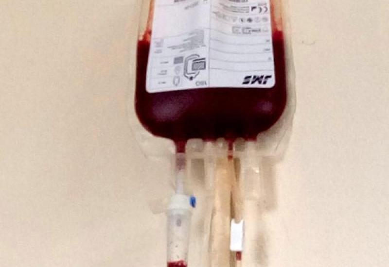  - Prvi put u povijesti Veterinarske stanice Tomislavgrad obavljena transfuzija krvi psa