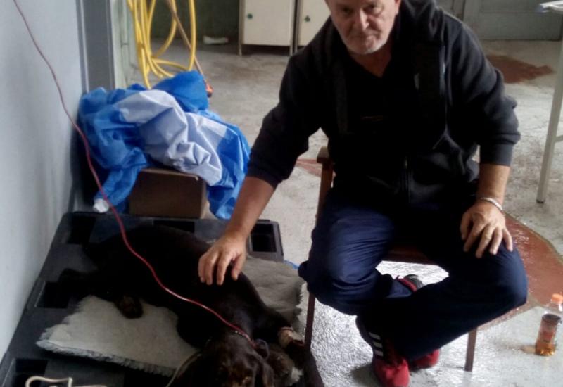  - Prvi put u povijesti Veterinarske stanice Tomislavgrad obavljena transfuzija krvi psa