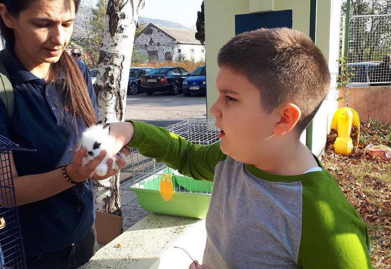 Tople dječje ruke za mala bića - Mostar: Mališani se upoznali sa svijetom kućnih ljubimaca