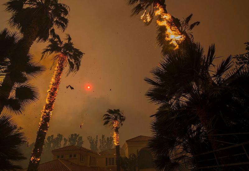 Požar u Malibu - Iz Kalifornije  za Bljesak: To je vatra od koje ne možeš pobjeći!