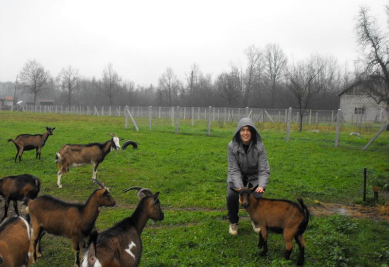  Krstina Bojić - Mlada Krstina Bojić: Nakon što nije uspjela pronaći posao posvetila se uzgoju alpskih koza