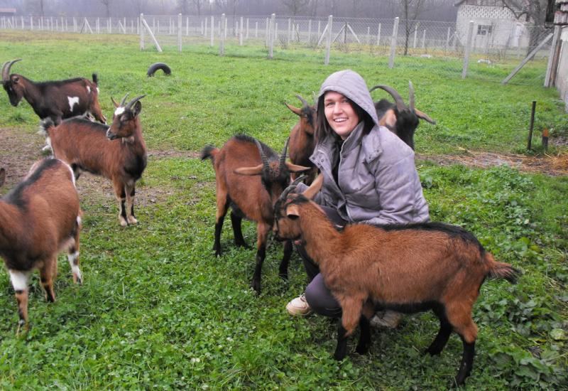 Mlada Krstina Bojić: Nakon što nije uspjela pronaći posao posvetila se uzgoju alpskih koza