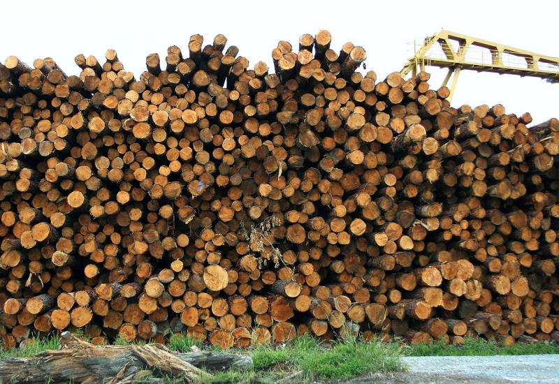 Hercegbosanske šume ispunile plan proizvodnje šumskih drvnih sortimenata