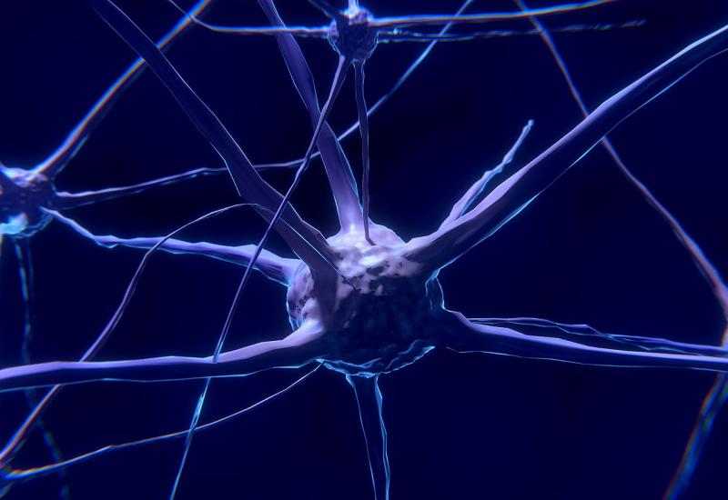 Povratak funkcije neurona nakon ozljede leđne moždine - nada za paralizirane?