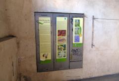 Koper: Kroz Vrata Muda do stotinu čuda