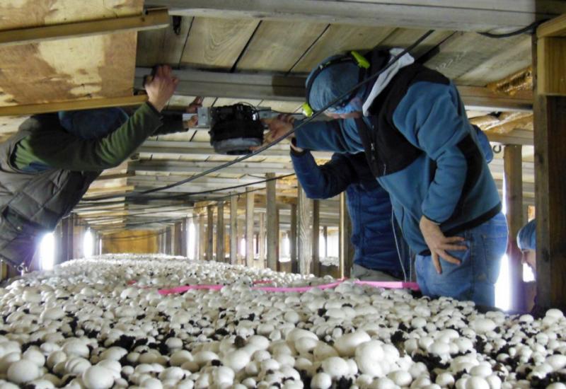Proizvođači gljiva zaboravljeni od države
