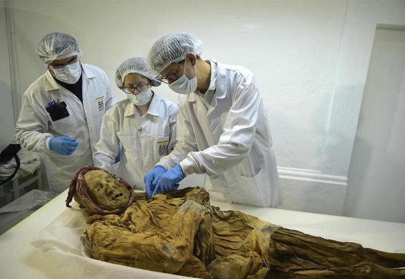 Karika koja nedostaje: Mumija iz Ekvadora - ključ za razumijevanje artritisa?