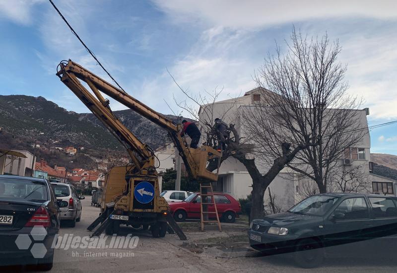 Uređivanje stabala u Mostaru