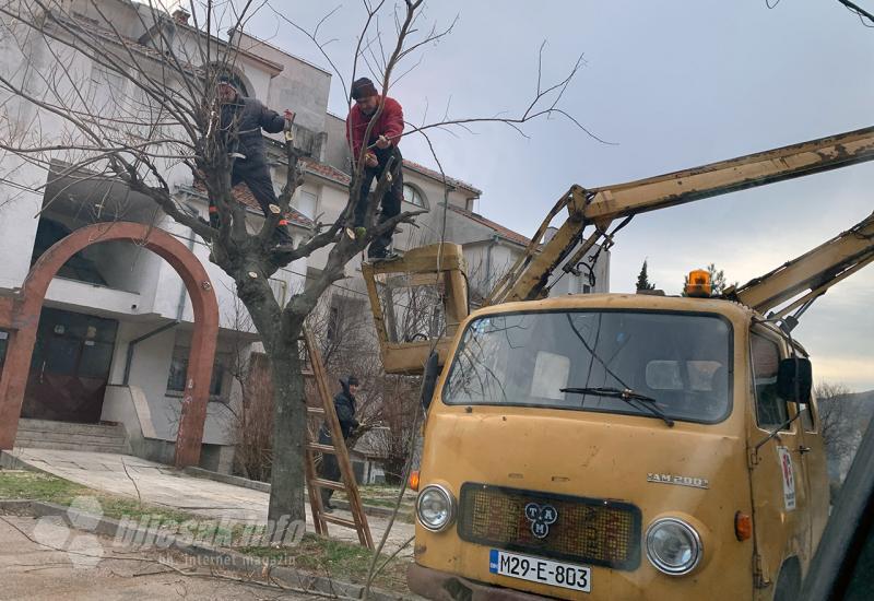 Uređivanje stabala - Uređivanje stabala u Mostaru