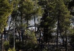 Čapljina: Vatrogasci spriječili katastrofu - vatra došla do benzinske crpke