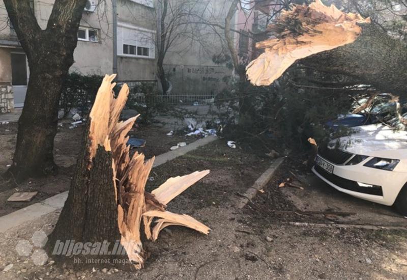 Mostar: Vozač ozlijeđen nakon što mu je stablo palo na vozilo