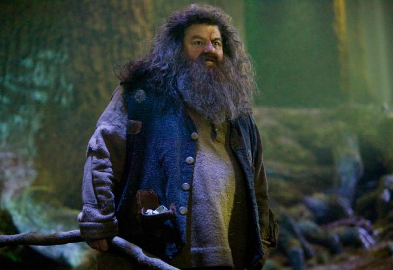 Popularni Hagrid iz Harryja Pottera pao u invalidska kolica
