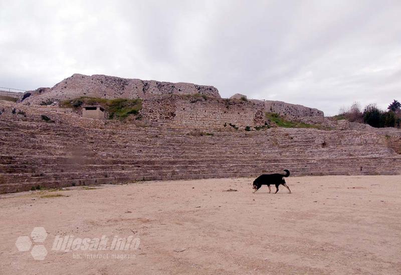 Malo rimsko kazalište: pas koji je volio arheologiju - Pula, grad iz kojeg Rumunji ne šalju razglednice