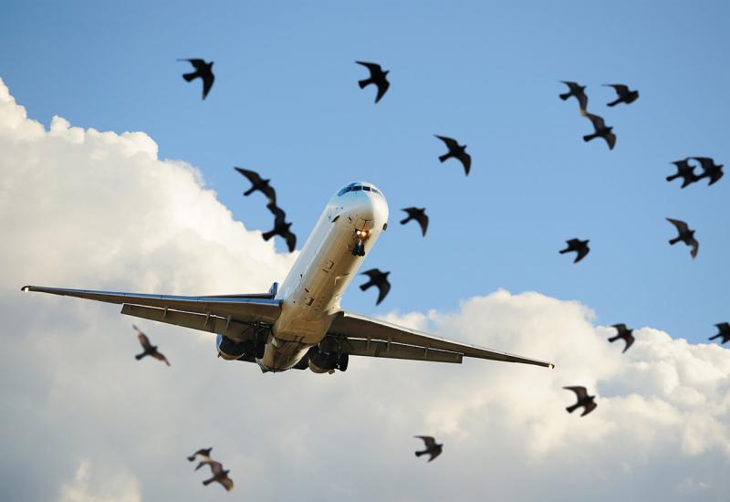 Zrakoplov WizzAira sudario se s jatom ptica iznad Zračne luke Sarajevo