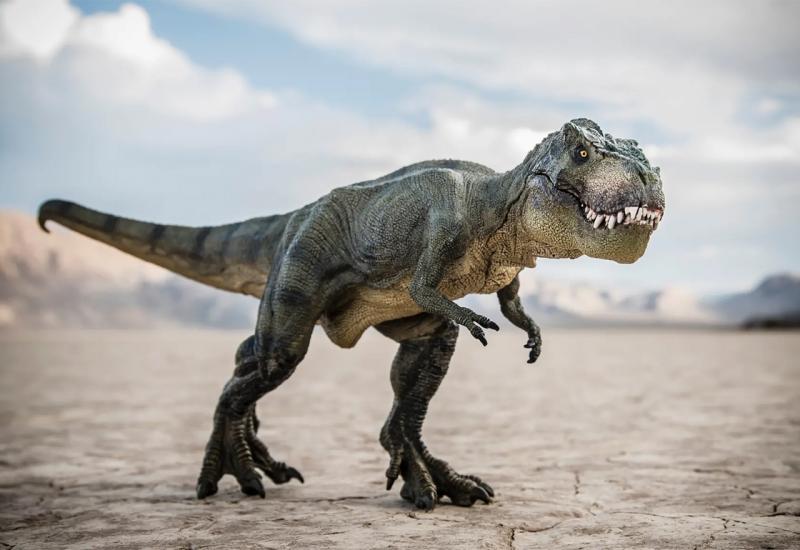 Prodaje fosilne kosti tiranosaurusa na eBayu