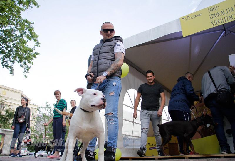 Dogs Trust događaj u Mostaru - Dogs Trust