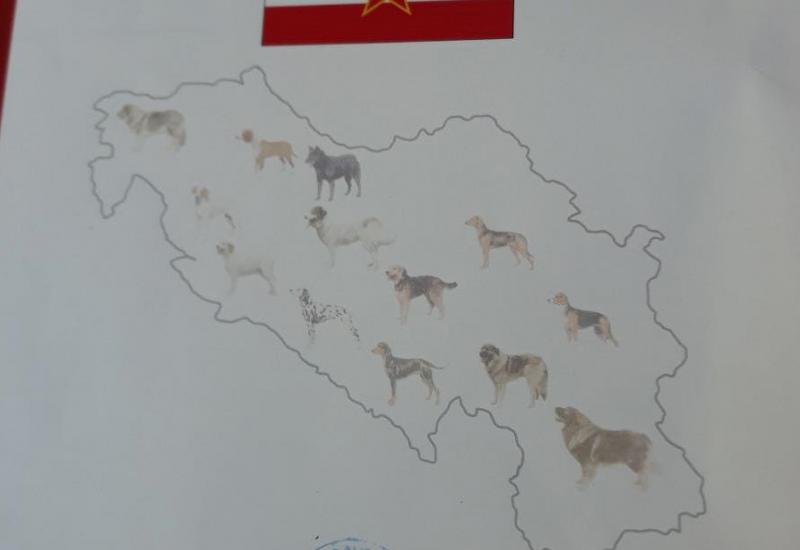 Izložba pasa u Međugorju u sjeni Jugoslovenskih certifikata - Crnogorci zavadili kinologe iz Hercegovine   
