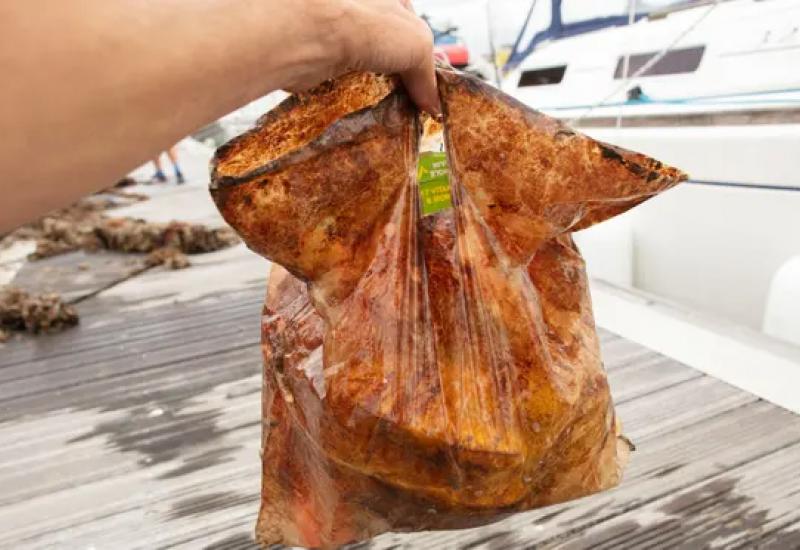 Plastična vrećica označena kao biorazgradiva nakon tri godine izlaganja morskom okruženju - Jesu li biorazgradive vrećice prevara
